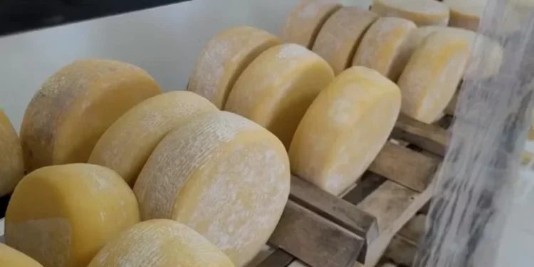 Minas Gerais vai ganhar uma ‘queijoteca artesanal’