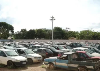 Veículos removidos ou recolhidos pelo Detran no Tocantins podem ir a leilão — Foto: Felix Carneiro/Governo do Tocantins