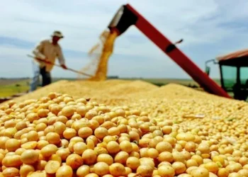 Exportações do Tocantins aos EUA não chegam a 4% e país sequer está entre os cinco maiores destinos da produção do Estado