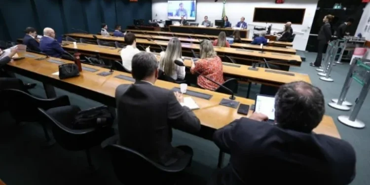 Produtores rurais e governo demonstram apoio a mudanças nos incentivos de energia para irrigação