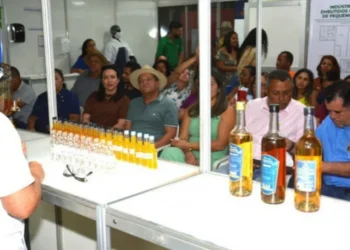 Oficina dos Licores, com a produtora de Aurora, Maria Aparecida. (Foto: Delfino Miranda/Governo do Tocantins).