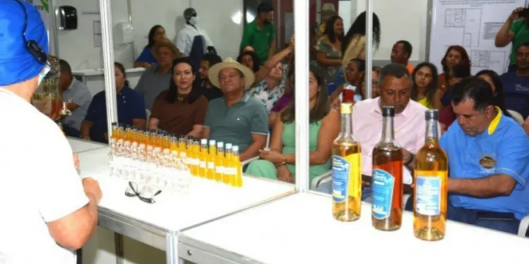 Oficina dos Licores, com a produtora de Aurora, Maria Aparecida. (Foto: Delfino Miranda/Governo do Tocantins).