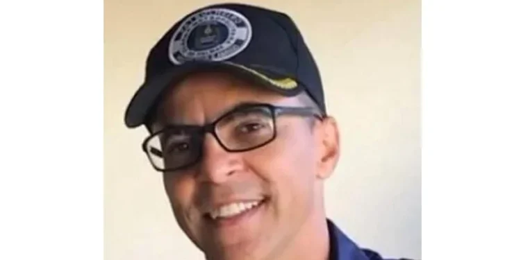 Pela 1ª vez, Câmara de SP exibe filme e oferece atrações gratuitas; confira