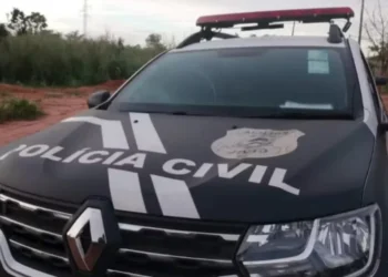 Viatura da Polícia Civil do Tocantins — Foto: Divulgação/Polícia Civil do Tocantins