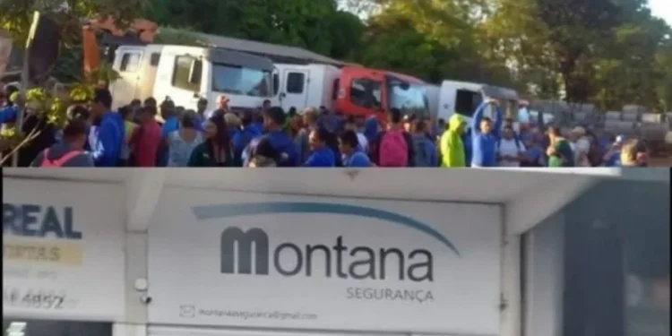 Crédito: Montagem de Reprodução em Redes Sociais