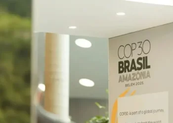 COP30: Inscrições abertas para organizações interessadas em pavilhões da Blue Zone em Belém • Reprodução/Redes Sociais