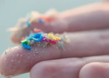 Microplásticos são partículas pequenas de plásticos que contaminam água e solo e podem ser ingeridos por pessoas e animais, trazendo riscos à saúde • Alistair Berg/GettyImages