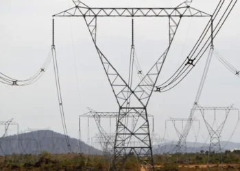 • 26/02/2010REUTERS/Jorge Silva