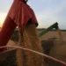 Importações de soja pela China têm recorde em junho com embarques do Brasil