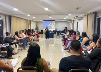 Público-alvo da capacitação são coordenadores do Cadastro Único e Programa Bolsa Família ou técnicos operadores do sistema, entrevistadores e digitadores - Foto: Setas/Governo do Tocantins