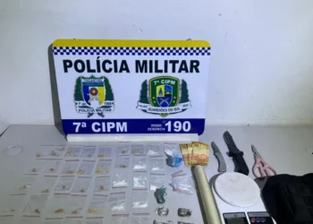 Todo o material foi apreendido