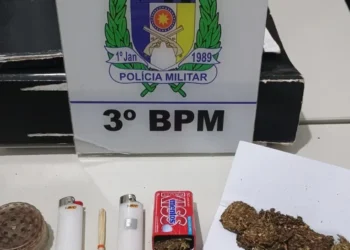 Produto similar à maconha foi apreendido durante bloqueio policial - Foto: Divulgação 3º BPM