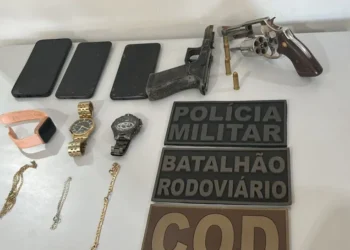 Material apreendido. - Foto: Ascom PMTO