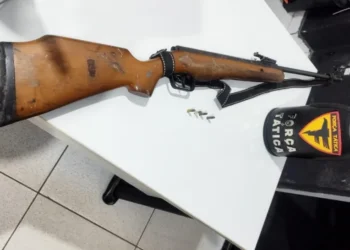 Arma e munições apreendidas na ocorrência. - Foto: 5º BPM/Ascom