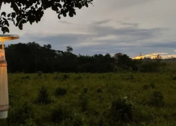 Armadilha luminosa para mosquitos em borda de mata  • Fredy Galvis/Amazônia+10