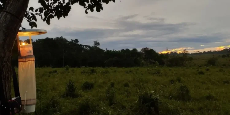 Armadilha luminosa para mosquitos em borda de mata • Fredy Galvis/Amazônia+10
