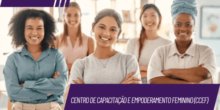 Governo do Tocantins institui o Centro de Capacitação e Empoderamento Feminino para fortalecer autonomia econômica das mulheres