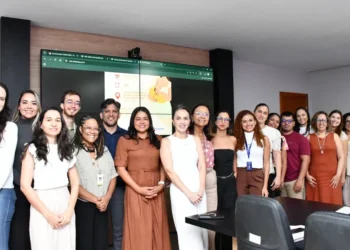 O Comitê é composto por instituições focadas no fortalecimento das políticas públicas voltadas à saúde da criança -  Ananda Santos/Governo do Tocantins