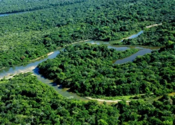 Ações de prevenção e vigilância: Adapec atua na Ilha do Bananal contra febre aftosa e Influenza Aviária