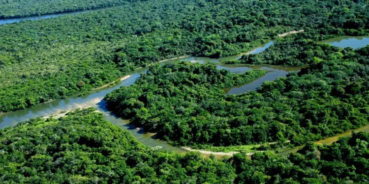Governo do Tocantins realiza ações preventivas contra febre aftosa e Influenza Aviária na Ilha do Bananal