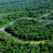 Governo do Tocantins realiza ações preventivas contra febre aftosa e Influenza Aviária na Ilha do Bananal