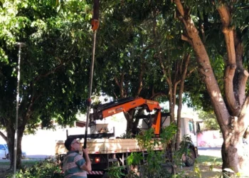 Equipes retiram nesta quarta-feira, 20, galhadas na Praça Vereador Tarcísio Machado – Foto Divulgação