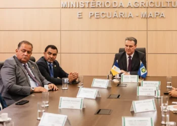 Governador do Tocantins, Wanderlei Barbosa, reuniu-se com o ministro da Agricultura e Pecuária, Carlos Fávaro, nessa quarta-feira, 6, em Brasília