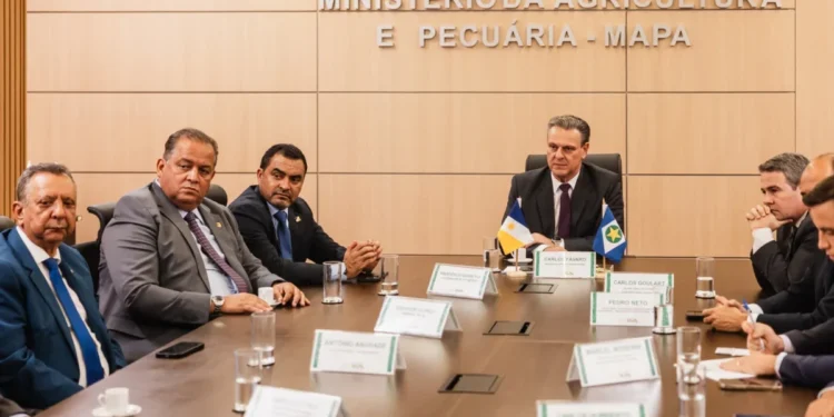 Governador do Tocantins, Wanderlei Barbosa, reuniu-se com o ministro da Agricultura e Pecuária, Carlos Fávaro, nessa quarta-feira, 6, em Brasília