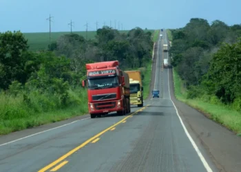 O Toxicológico é obrigatório para os condutores que possuem Carteira Nacional de Habilitação (CNH) nas categorias C, D e E, independentemente se exercem atividade remunerada -  Foto: Felix Carneiro / Governo do Tocantins