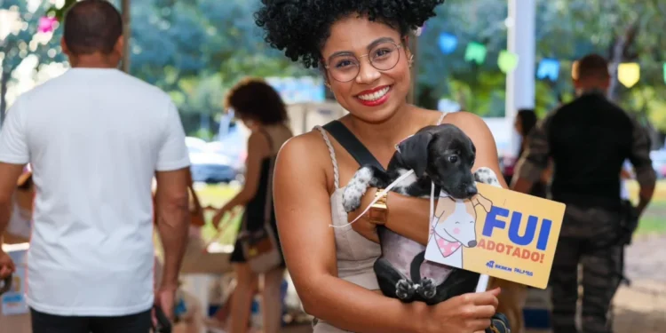Prefeitura de Palmas promove feirinha de adoção de animais de estimação neste sábado, 23