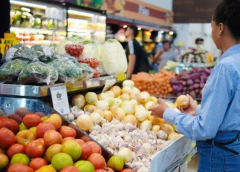 Crédito: Matheus Alcântara/Governo do Tocantins