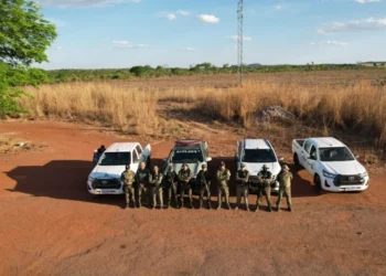 Em Lagoa da Confusão, ação contou com o apoio do Batalhão de Polícia Militar Ambiental (BPMA) - Foto: Naturatins/Governo do Tocantins