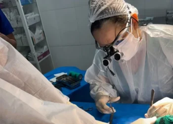 Arara-canindé passa por procedimento cirúrgico de amputação e colocação de prótese no membro pélvico esquerdo - Foto: Naturatins/Governo do Tocantins