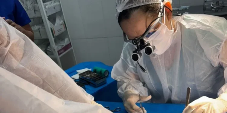 Naturatins e Ulbra realizam cirurgia de amputação e prótese em arara-canindé