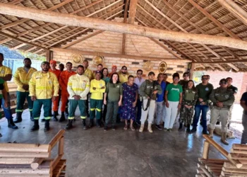 Força-tarefa da Operação Capim-Dourado integra órgãos públicos estaduais