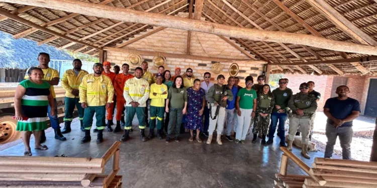 Força-tarefa da Operação Capim-Dourado integra órgãos públicos estaduais