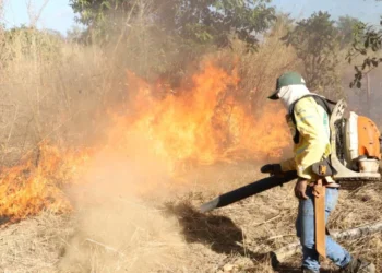 Brigadista do Naturatins durante manejo do fogo em Unidade de Conservação