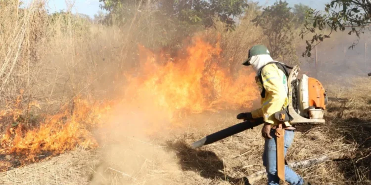Brigadista do Naturatins durante manejo do fogo em Unidade de Conservação