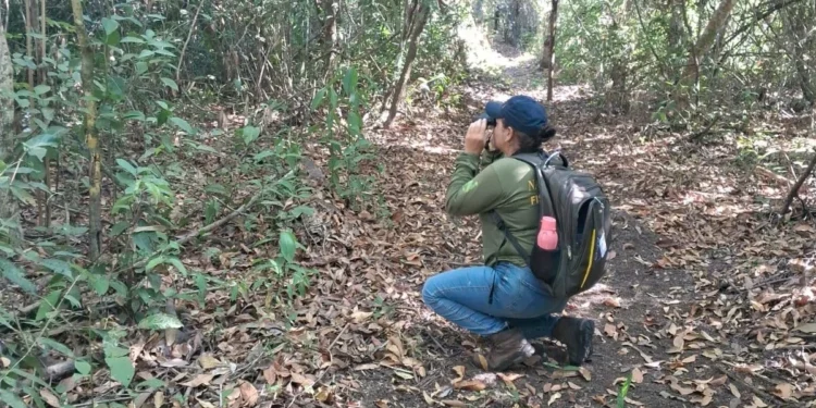 Naturatins realiza implantação do Programa Monitora no Parque Estadual do Cantão