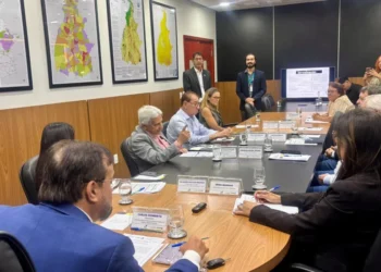 SEPOT apresenta programa Raízes do Tocantins ao Conselho de Desenvolvimento Econômico do Estado - Crédito: Julyana Aires/Governo do Tocantins