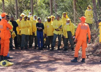 Com investimento superior a R$ 17 milhões, o plano inclui a campanha Foco no Fogo, a contratação de brigadistas, aquisição de veículos e equipamentos, além de reforço tecnológico para monitoramento em tempo real e fiscalização ambiental_ foto: Soldado Thiago Baltazar dos Santos/Governo do Tocantins