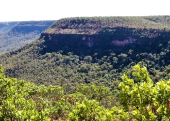 O Estado mantém como meta o desmatamento ilegal zero até 2030 - Foto: Marcel de Paula/Governo do Tocantins
