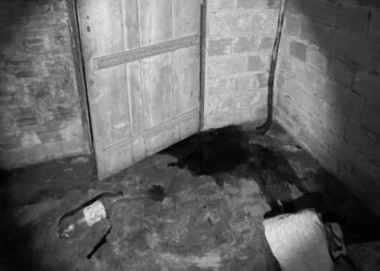 Mulher foi morta com extrema violência na zona rural de Nova Olinda; autor está foragido.