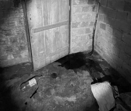 Mulher foi morta com extrema violência na zona rural de Nova Olinda; autor está foragido.