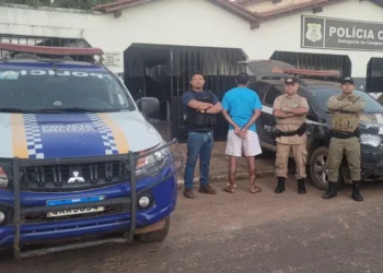 O homem, que é primo da vítima, está à disposição da Justiça - Foto: Divulgação PC-TO