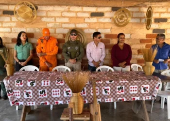 Operação visa coibir crimes ambientais na colheita do capim dourado