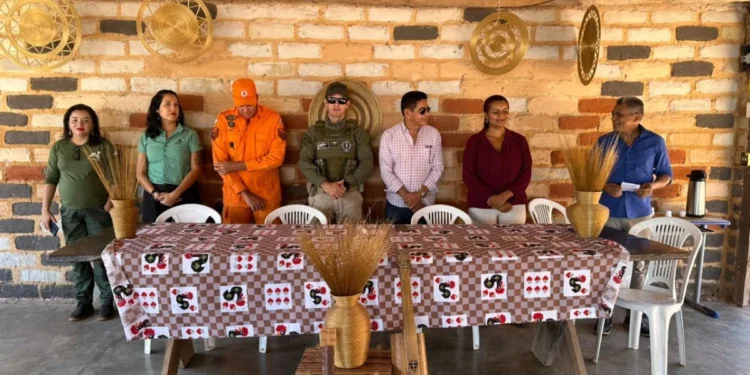 Operação visa coibir crimes ambientais na colheita do capim dourado