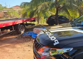 Caso seguirá para o Poder Judiciário e o Ministério Público após a conclusão das perícias e demais diligências - Foto: Divulgação PCTO