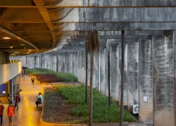 Provas da UnB estão marcadas para os dias 23 e 23 de novembro • Divulgação / Raquel Aviani
