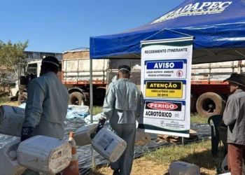Pequenos e médios produtores de Combinado devolvem embalagens vazias de agrotóxicos. Foto - Divulgação